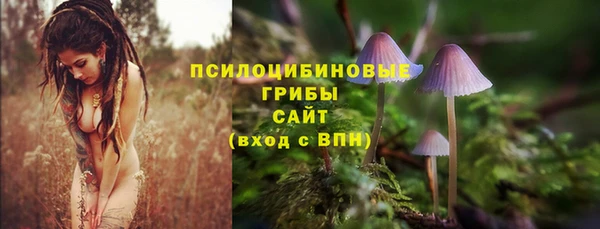мяу мяу мука Абдулино