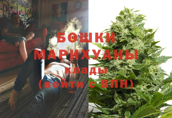 стаф Абаза