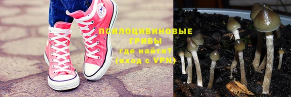 стаф Абаза